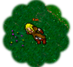 Arquivo:Kan npc.png