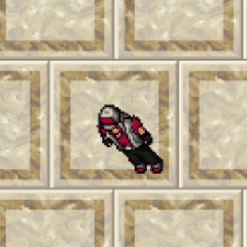 Elite Trainer Outfit