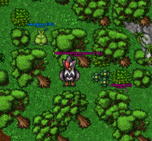 Arquivo:Migrating-floresta.png