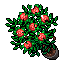 Arquivo:Red roses.png