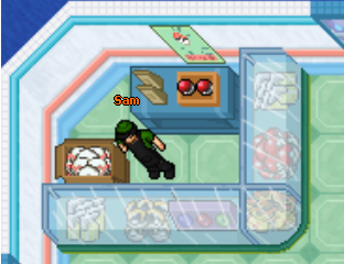 Arquivo:Sam2.png