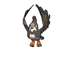 Arquivo:Staravia.gif