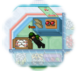 Arquivo:Sam3.png