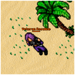 Veteran Rosaline
