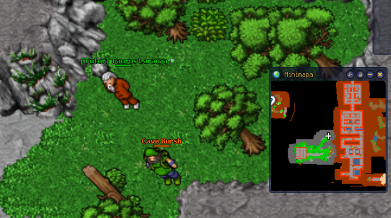 Arquivo:Npc bursh.png