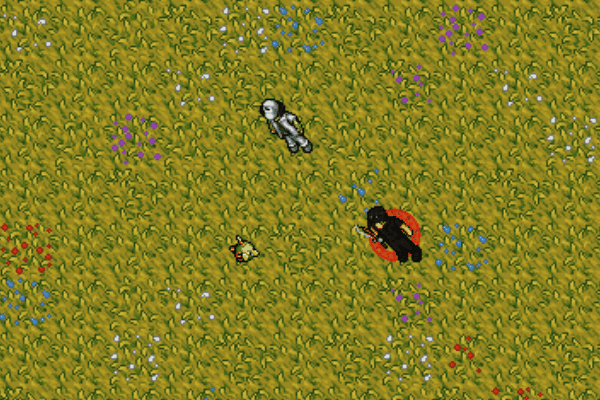 Arquivo:Peck.gif