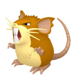 Arquivo:Img-raticate.jpg