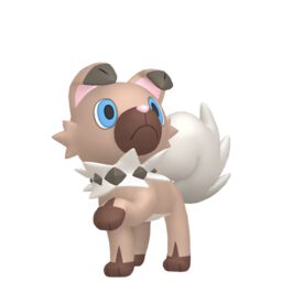 Arquivo:Img-rockruff.jpg