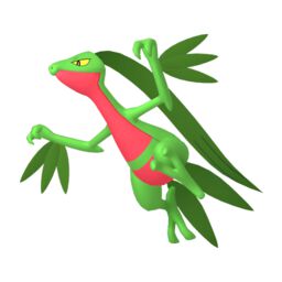 Arquivo:Img-grovyle.jpg