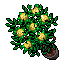 Arquivo:Yellow roses.png