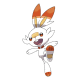 Scorbunny
