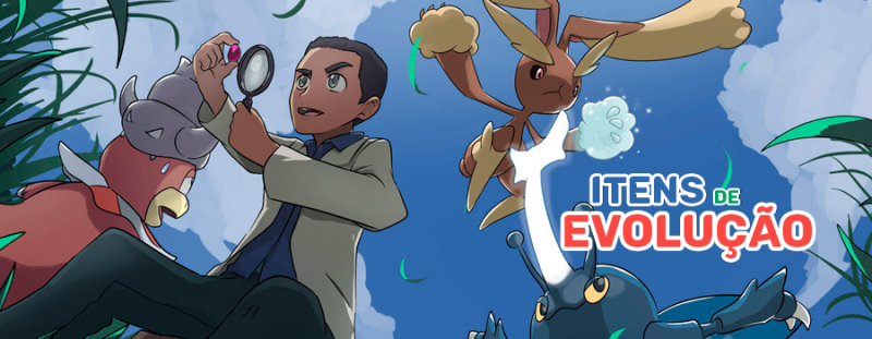 Arquivo:Itens evolução.png