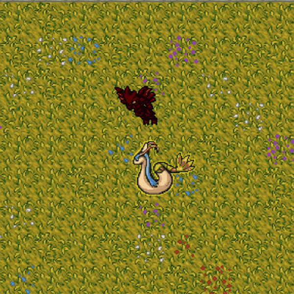 Arquivo:Surf.gif