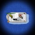 Miniatura da versão das 17h00min de 26 de agosto de 2026
